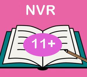 Non Verbal Reasoning