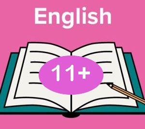English 11 Plus